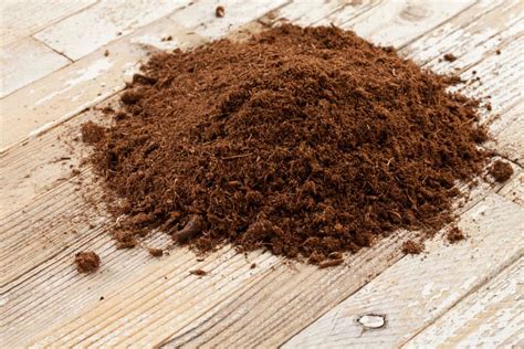 Peat Moss For Aquarium - 7 Effective Uses