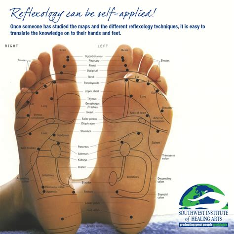 Reflexology - Pictures