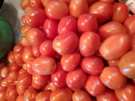 tamatar  kg bhoiwada kalyan id