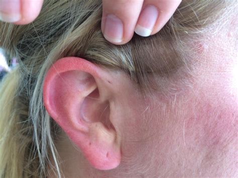 humans  gill slits baby boom baby booms weekly fun fact