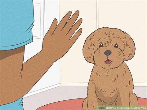 how to stop dogs from licking you