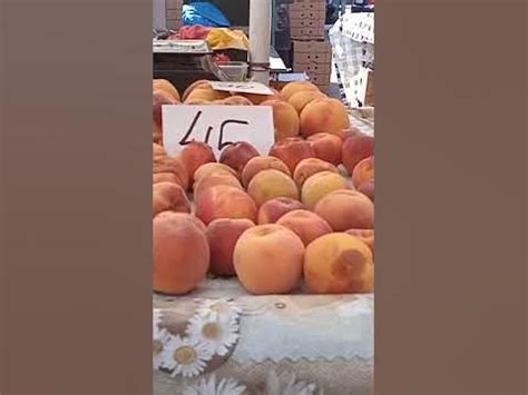 ГОЛУБИКА, СЛИВЫ, ПЕРСИКИ цена на рынке в Харькове #фрукты #рынок - YouTube
