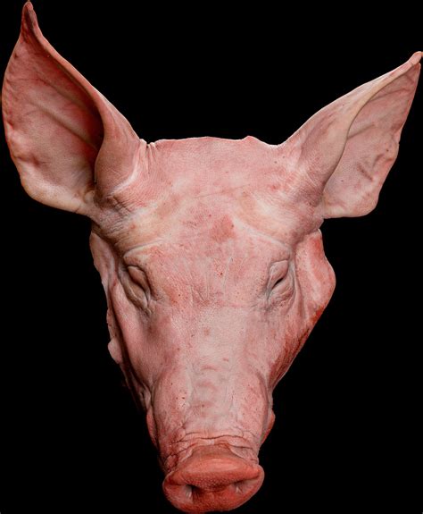 costa food meat head