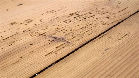 how to fix swollen wood from water