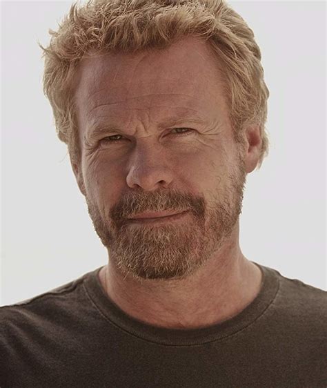 steve wilcox net worth