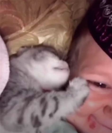 Hasbulla Playing With a Kitten - YouTube