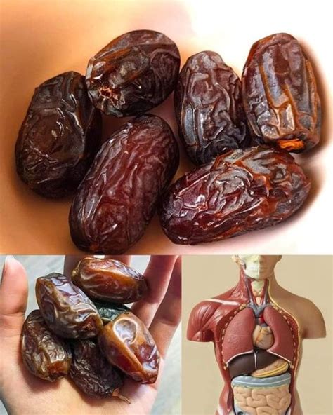 What Happens to Your Body After Eating 4 Dates a Day - Wake Up Your Mind