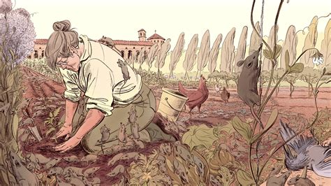 Book Review: ‘Stone Yard Devotional,’ by Charlotte Wood - The New York