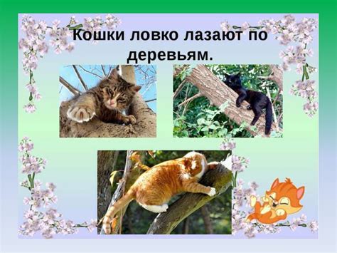 Домашние животные. Мои домашние питомцы - презентация онлайн
