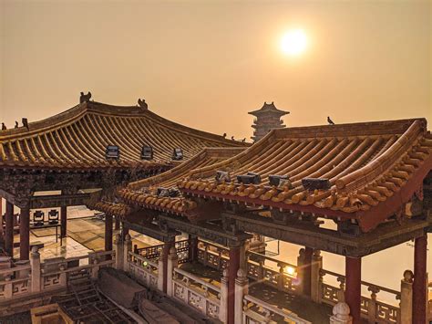 The History of Timber in the Building Industry