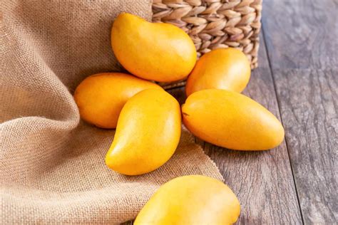 properly eat  mango recipesnet