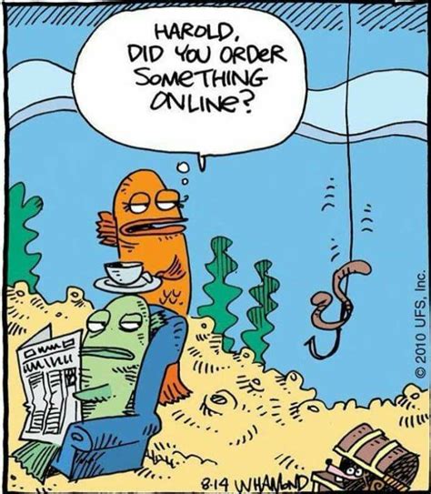 Yes I did! | Fishing humor, Funny fishing memes, Fishing jokes