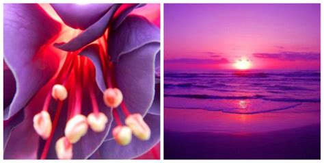 Сочетания с фиолетовым цветом: color_harmony — LiveJournal