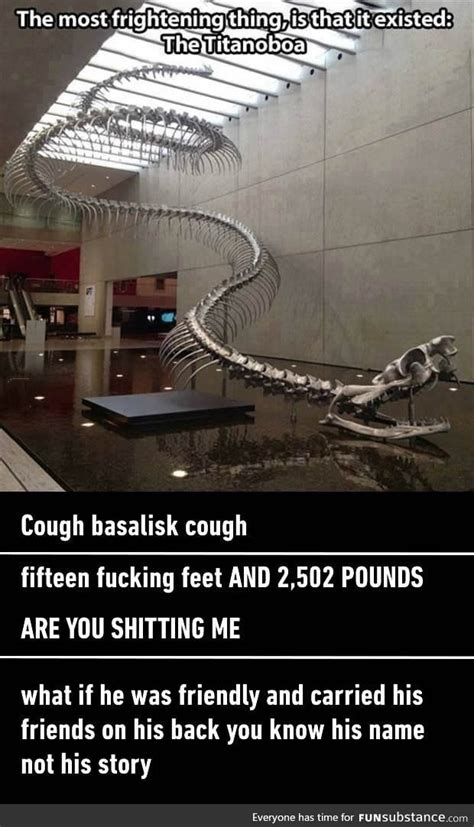 The scary skeleton of a Titanoboa - FunSubstance