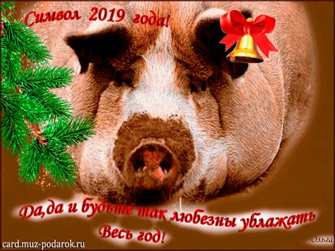 Я символ года 2019! Прошу любить и жаловать. С Новым годом! Pig ...