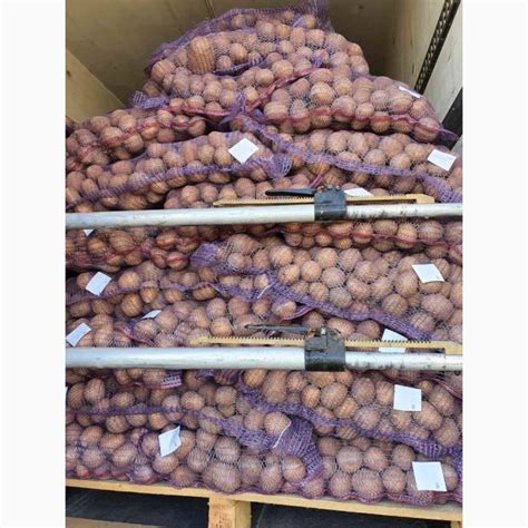 Продаем картофель, сорт Гала, Ред Леди, Манифест и др — Agro-Moldova
