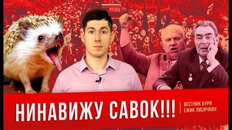 НИНАВИЖУ САВОК!!2 (feat.Ежик Лисичкин) - минусы СССР (Часть 2) - YouTube