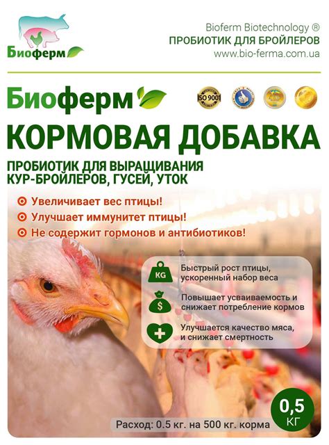Антибиотики для кур несушек и цыплят