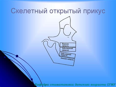 Анализ ТРГ в клинике ортодонтии - презентация онлайн