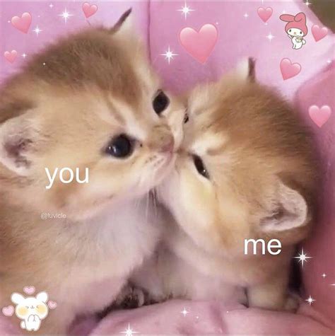 Gib kith : r/RelationshipMemes