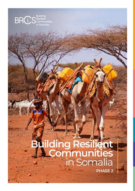 document nrc building resilient communities  somalia phase