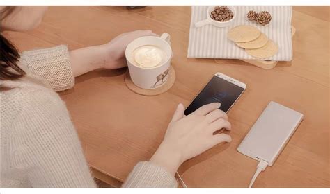 Xiaomi Mi 10000 Mah (2. Nesil) Powerbank Taşınabilir Şarj Cihazı ...