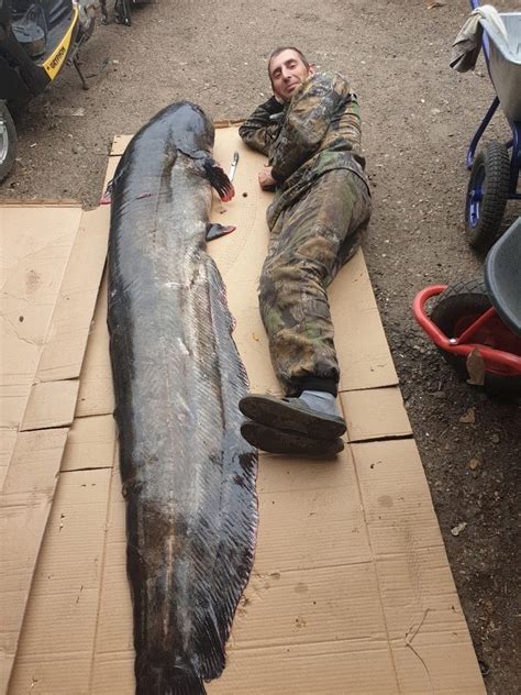 Речные Монстры | River Monsters | ВКонтакте
