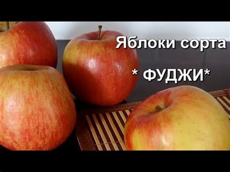 Очень вкусные ЯБЛОКИ сорта «ФУДЖИ» (Fuji).Входят в тройку наиболее ...