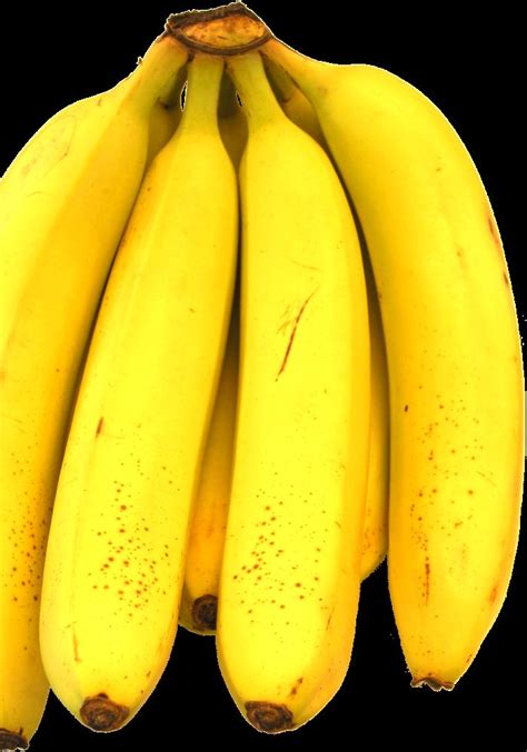 💬 Banana Collection