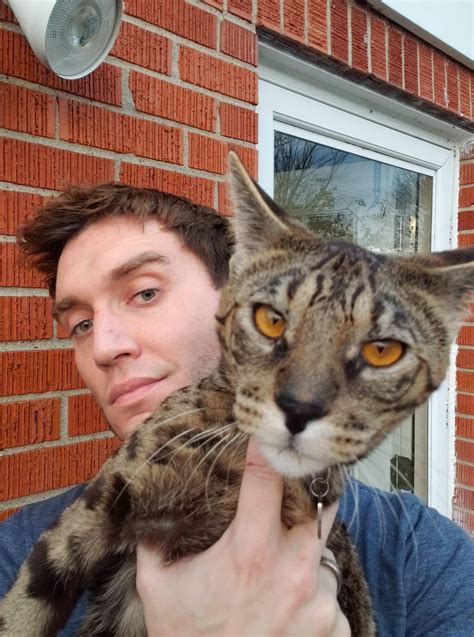 post  pfm staff dr powers lost     cats