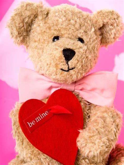 25 Valentine’s Day Teddy Bear Gifts (2024) | Sarah Scoop