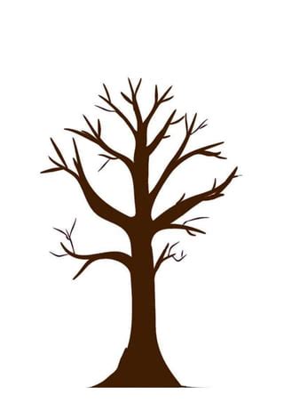 ПОРТФОЛІО "Дерево" (НУШ) | PDF