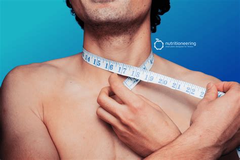 average neck size statistics  charts  men women