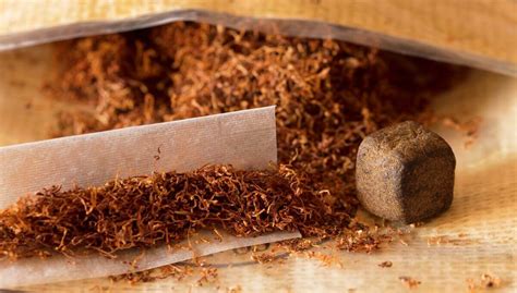 hashish benefits usage tips beaver seed