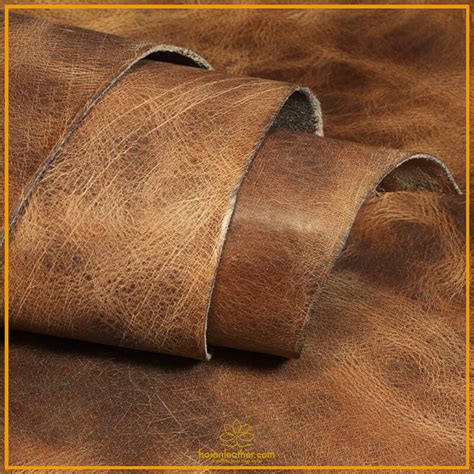 cac loai da dong vat pho bien quy anh chi nen biet