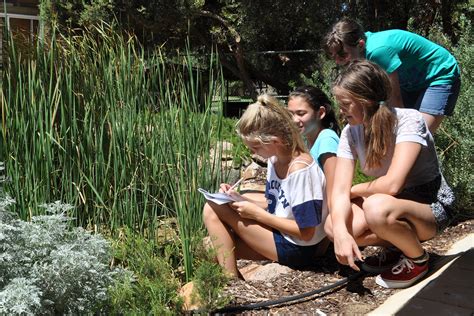 Exploring the early life and rise of the talented Ami Foster 23