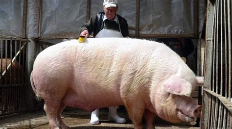 Így javítaná az Unió a gazdák helyzetét - Agrárkapu