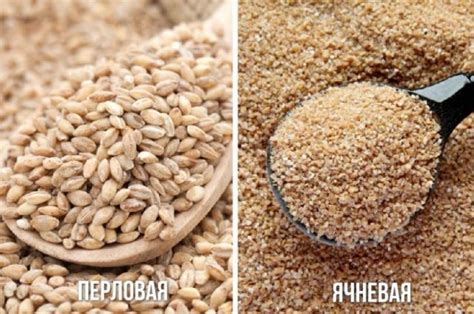 Какая крупа полезнее - перловая или ячневая? | Вопрос-ответ | АиФ ...