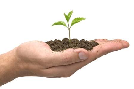 story   seed akhand gyan eternal wisdom