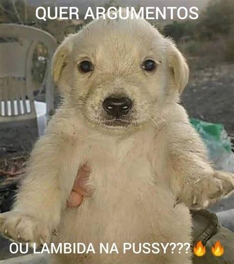 Argumentos Ou Lambida Na Pussy