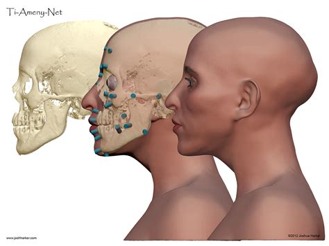 Forensic Facial Reconstruction :: Behance