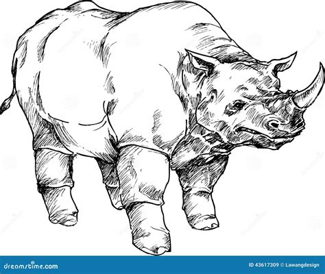 Носорог нарисованный рукой иллюстрация вектора. иллюстрации ...