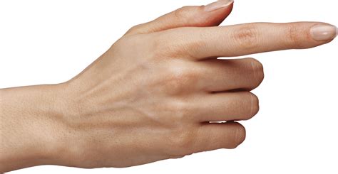 finger - Holistic Health Masterclass