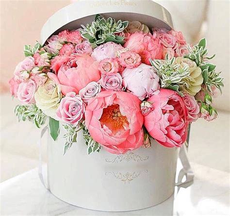 привітання для невістки з днем народження - Пошук Google | Flower ...