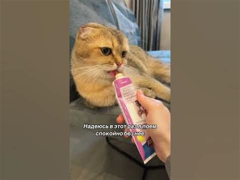 Без нее никак - YouTube