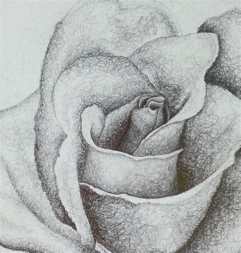 Shading Drawing at PaintingValley.com | Explore collection of Shading ...