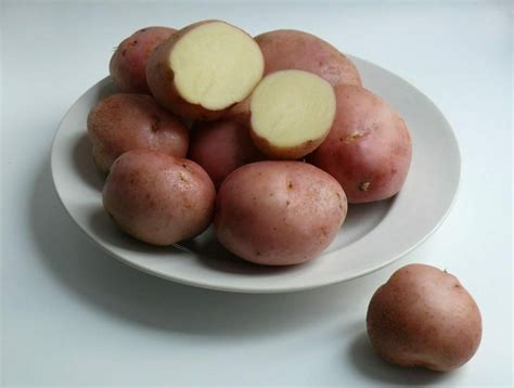 Сорта картофеля