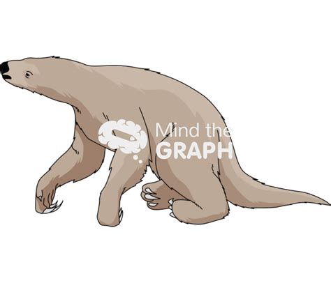 ground sloth