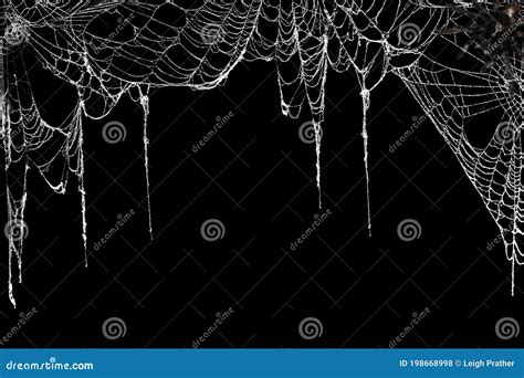 Creepy Spider Webs Hanging on Black Banner As a Top Border with a ...