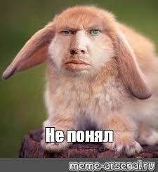 Мем: "Не понял" - Все шаблоны - Meme-arsenal.com